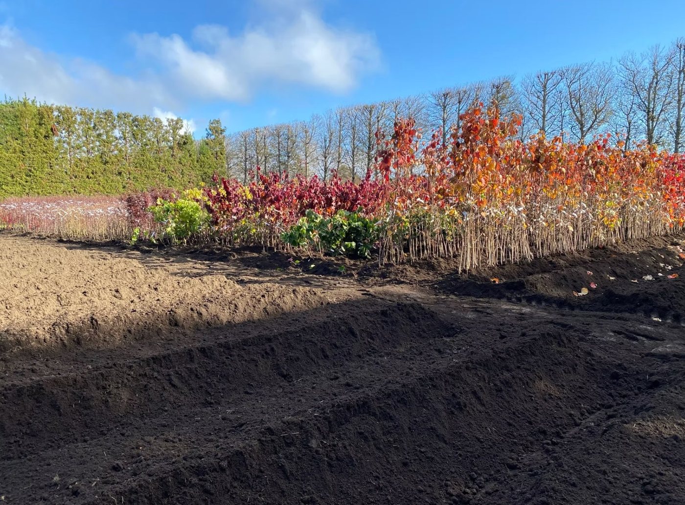 Michielsen's nursery tractors — ground preparation Taranaki